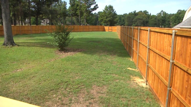 New cedar fence in large backyard.