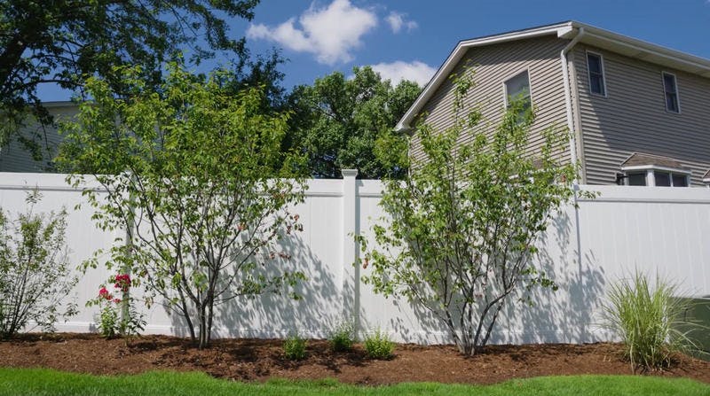 White vinyl fence next to trees and house.